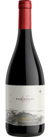 2020 45 Rugientes Pinot Noir Bio