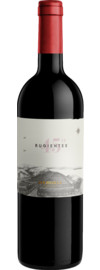 2020 45 Rugientes Merlot Bio