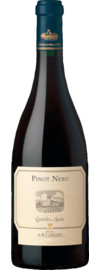 2022 Pinot Nero della Sala
