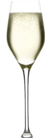 Stölzle Champagnerglas
