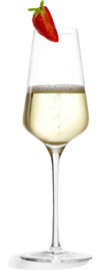 Stölzle Champagnerglas