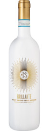 2024 Brillante Pinot Grigio