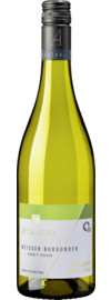 2024 Achkarrer Castellberg Weißer Burgunder Kabinett