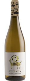 2023 Vegalfaro Caprasia Blanco Bio