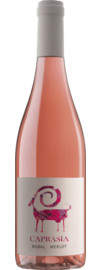 2023 Vegalfaro Caprasia Rosado Bio