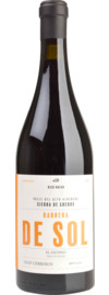 2018 Rico Nuevo Barrera de Sol