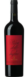 2022 Pian delle Vigne Rosso di Montalcino