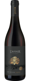 2024 L'Avenir Die Boom Pinotage