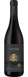 2024 L'Avenir Die Boom Pinotage