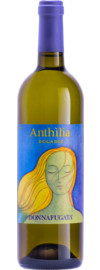 2024 Anthilia
