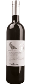 2024 Vigna Corvina Pecorino