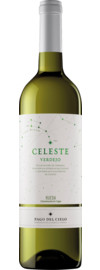 2024 Celeste Verdejo