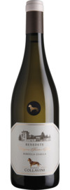 2024 Benedete Ribolla Gialla