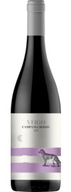 2024 Virgo Campania Rosso