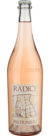 2024 Radice Lambrusco