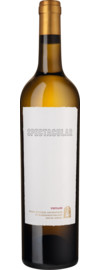 2025 SPECTACULAR White by The Chocolate Block