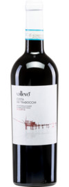 2020 Vallevo Costa dei Trabocchi Montepulciano Riserva