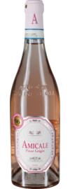 2024 Amicale Pinot Grigio Rosé