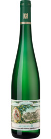 2022 Abtsberg Riesling GG