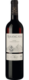 2021 Amancaya