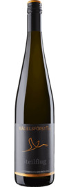 2022 Weingut Nägelsförst Steilflug Klosterberg Riesling