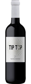 Vignobles Raguenot Tip Top Rouge