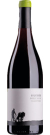 2023 Tradition Pinot Noir