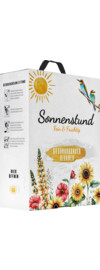 2024 Oberrotweiler Sonnenstund Grauburgunder & Rivaner