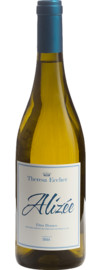 2019 Theresa Eccher Alizée Etna Bianco