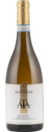 2024 Tenuta Antonini Pecorino