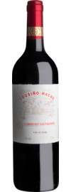2022 Cousiño-Macul Cabernet Sauvignon