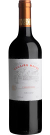 2023 Cousiño-Macul  Carménère