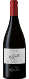 2017 Spier 21 Gables Pinotage