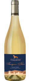 2024 Collavini Sauvignon Blanc