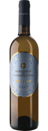 2024 Vite Colte Gavi