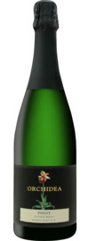 2022 Pinot Sekt Edition Orchidea