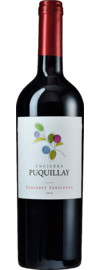 2019 Cabernet Sauvignon Puquillay