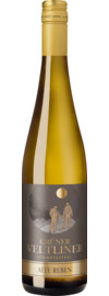 2025 Steinpfefferl Grüner Veltliner Alte Reben