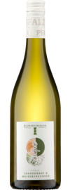 2024 Ruppertsberger Weinkeller Chardonnay Weißburgunder