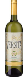 2025 Versita Grillo