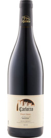 2021 Carlotto Blauburgunder Filari Di Mazzòn