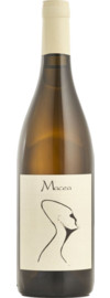 2021 Macea Sauvignon Blanc
