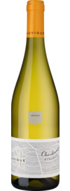 2023 Vignes de Chassipol Chardonnay de Chardonnay