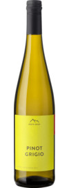 2024 Erste+Neue Pinot Grigio