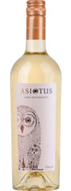 Asio Otus Bianco