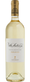 2024 Pinot Bianco