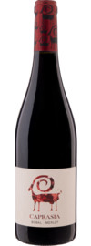 2023 Vegalfaro Caprasia Roble Bobal Merlot Bio
