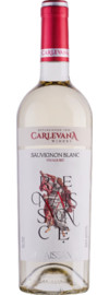 2023 Carlevana Renaissance Sauvignon Blanc