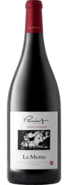 2019 La Motte Pierneef Syrah-Viognier