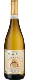 2025 Aurora Gavi